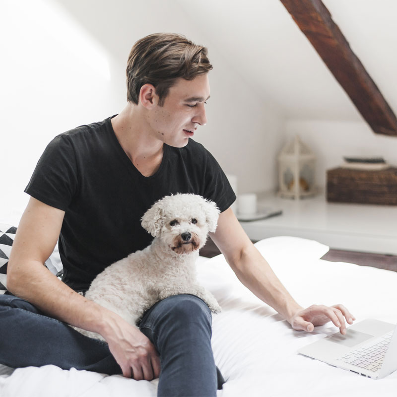 Clases perros online