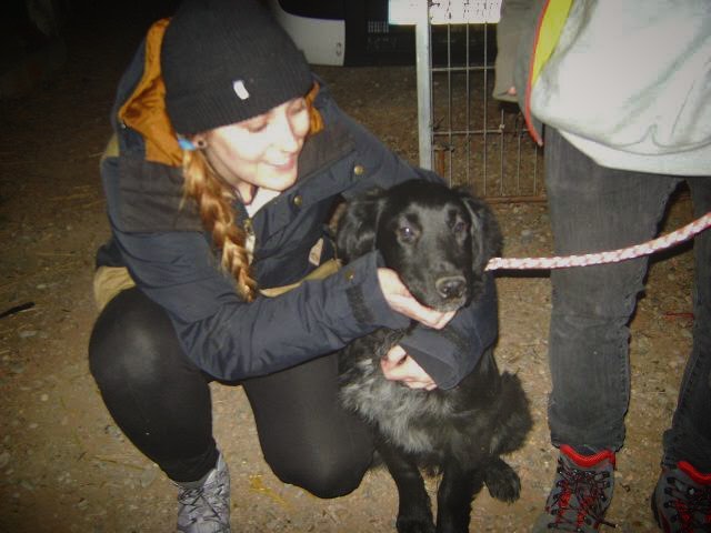 Blog sobre perro: Adoptar perro con problemas de comportamiento