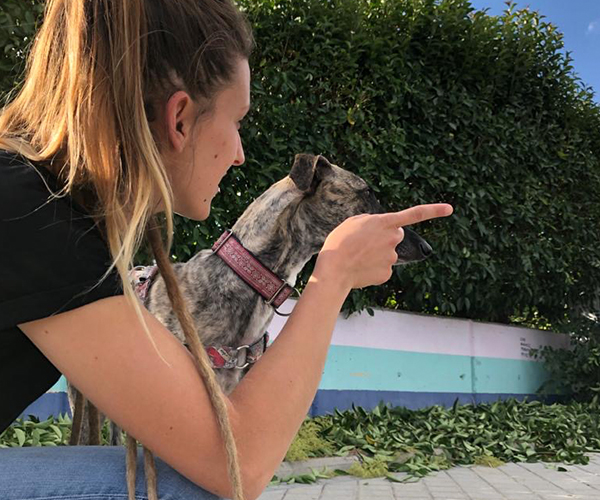 Educacion Canina Utopia