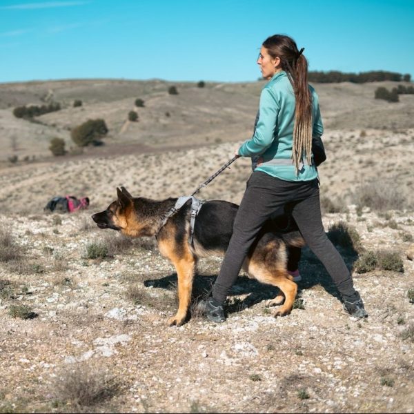 Problemas de comportamiento en perros
