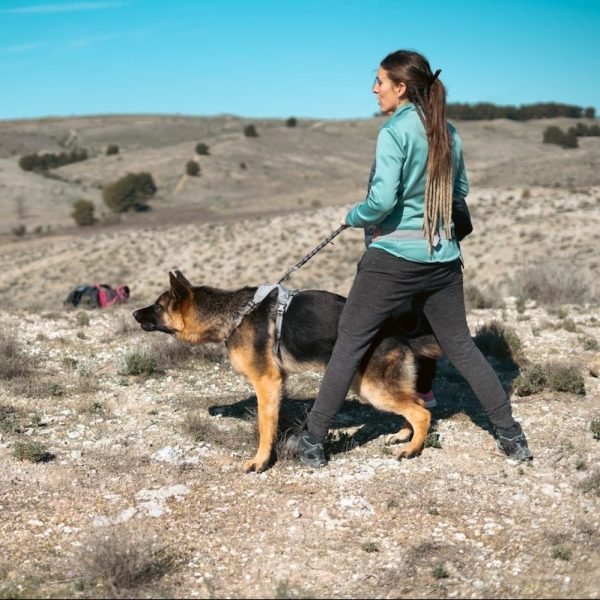 Problemas de comportamiento en perros